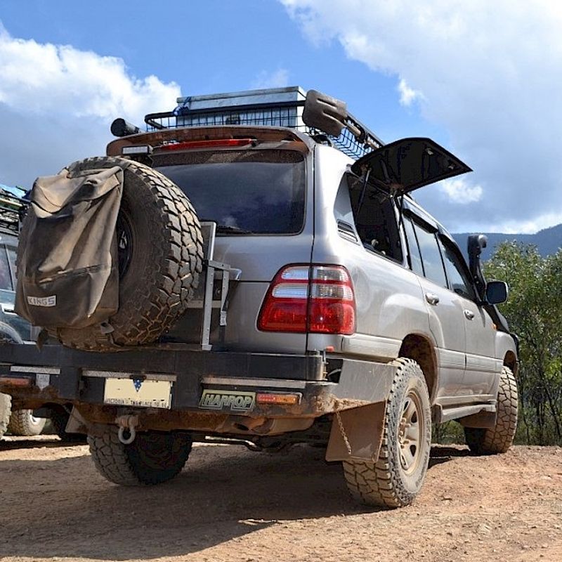 Vehicle Access & Gullwing Windows