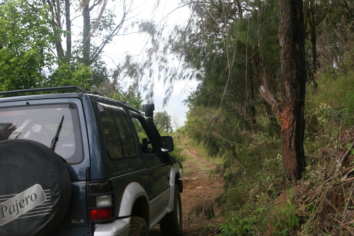 4wd Trip to Rathdowney &amp; Mt Barney National Park
