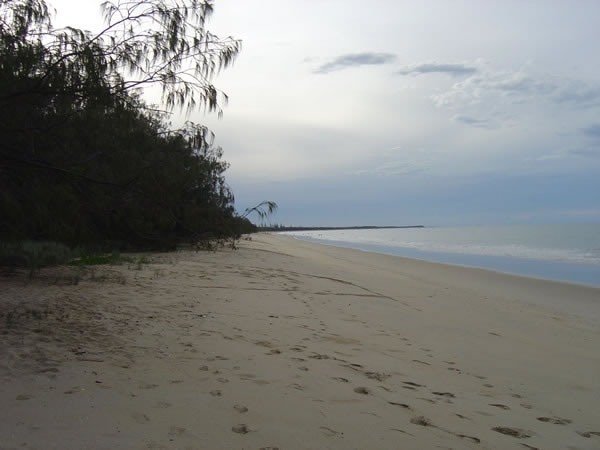 Burrum Point Camp Ground 4wd Day Trip