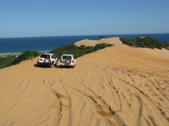 Adrenalin Pumping Adventure - Byfield National Forest